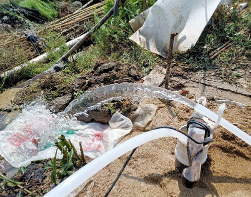 建湖鱼塘边打井